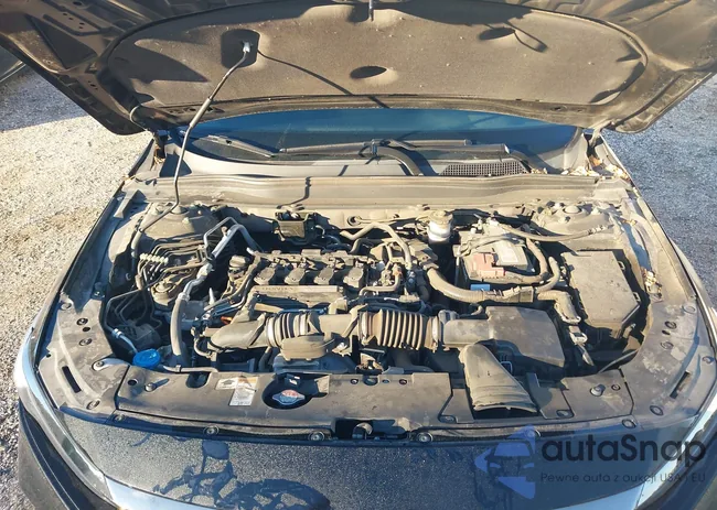 1HGCV1F34KA051361: 43513893