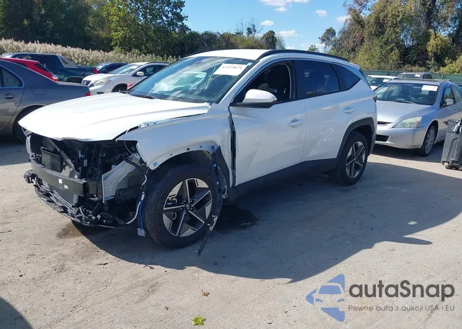 3KMJBCDE9SE010829: 43514875