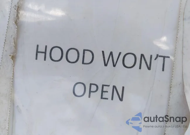 3VVRB7AX8RM034351: 43514249