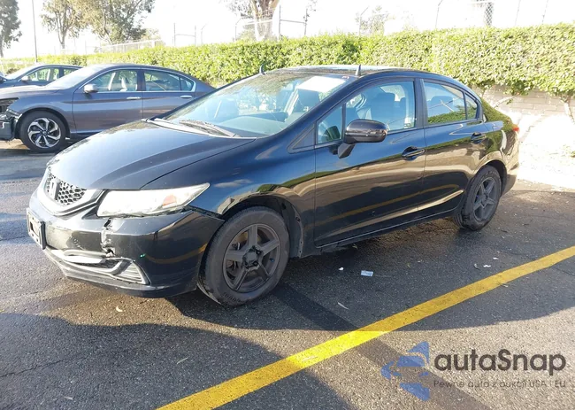 19XFB2F50FE209533: 43515934