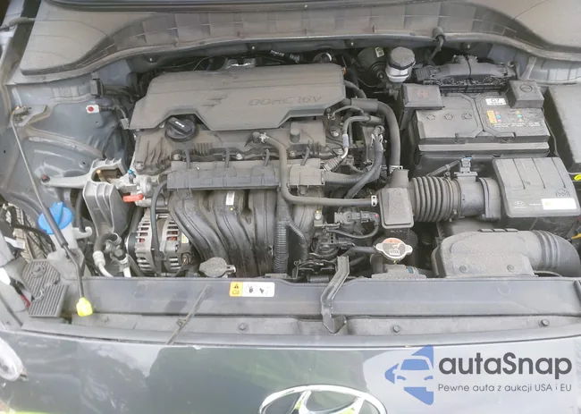 KM8K6CAB4PU022025: 43516712