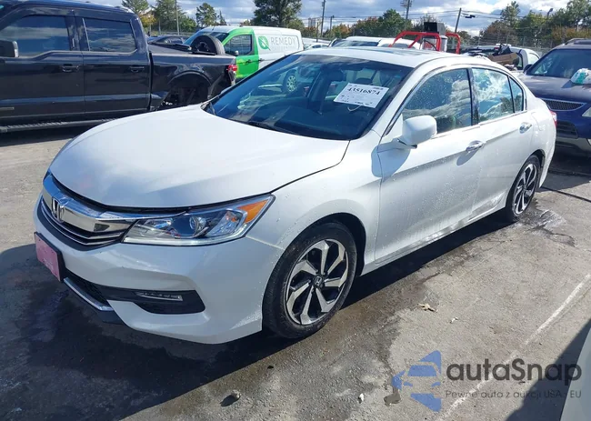 1HGCR3F83HA014273: 43516874