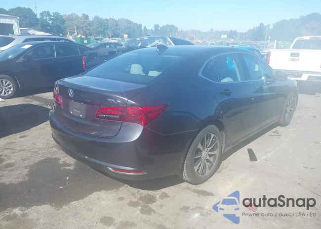 19UUB1F32FA012724: 43517518