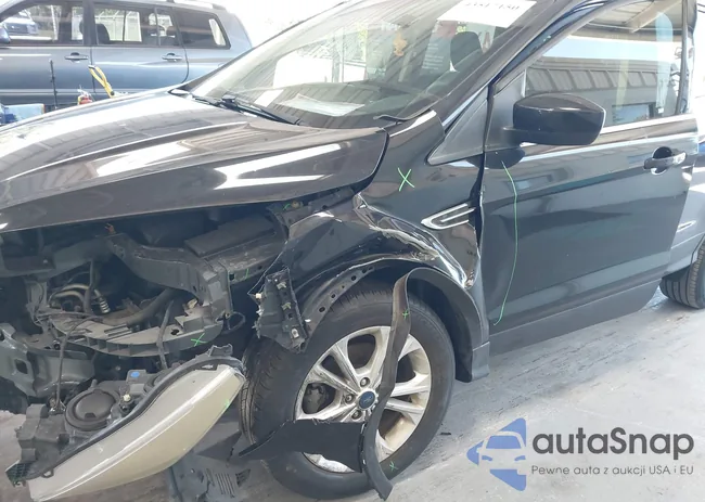 1FMCU0GD4KUA26389: 43517150