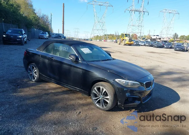 WBA1K9C52GV710845: 43517170