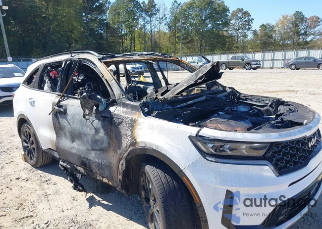 5XYRK4LF4PG202899: 43518507