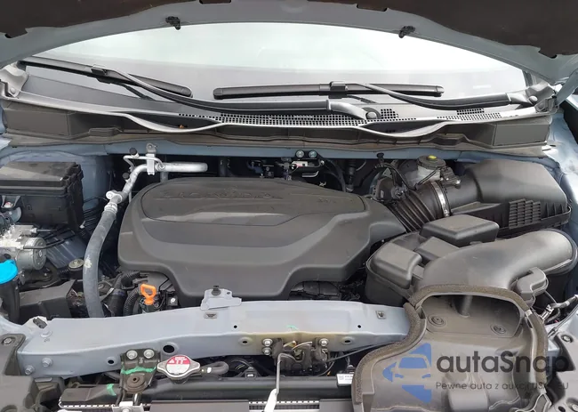 5FNRL6H77RB065445: 43519011