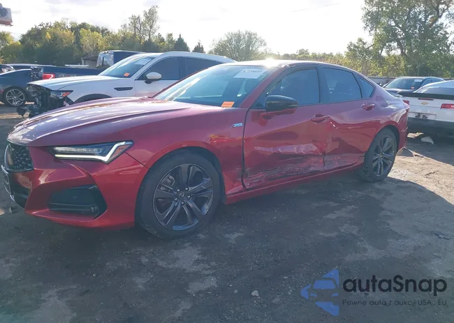 19UUB6F5XMA010358: 43518059