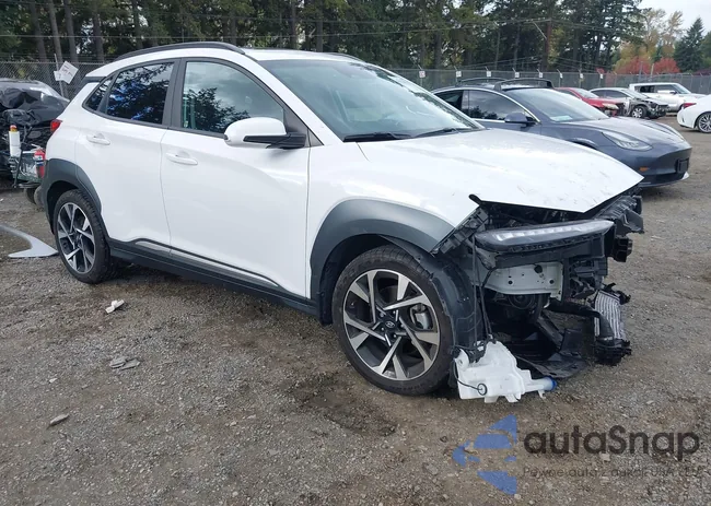 KM8K5CA32PU966756: 43518131