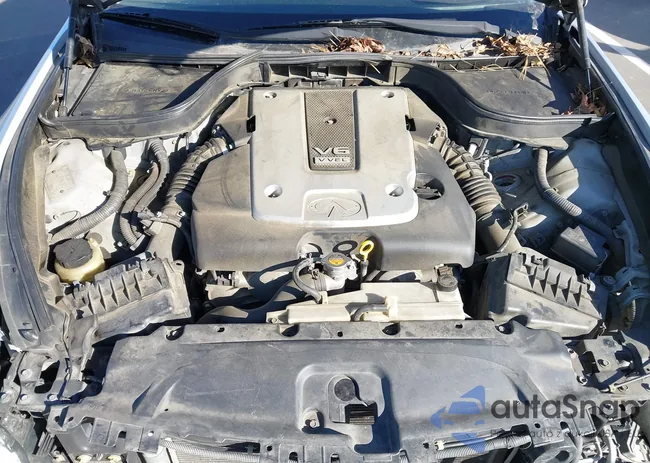 JN1CV6APXBM500792: 43518324