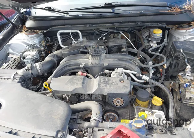 4S4BSACC0H3225247: 43519559