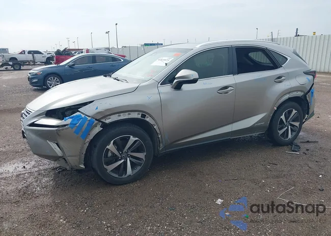 JTJBJRBZ9K2115299: 43519573