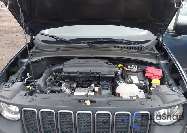 ZACNJDB19PPP71963: 43519924