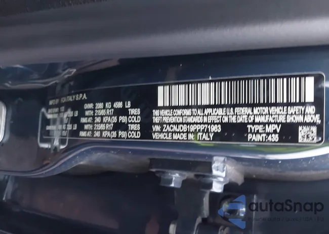 ZACNJDB19PPP71963: 43519924