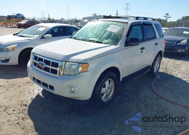 1FMCU0DGXBKA41621: 43520439