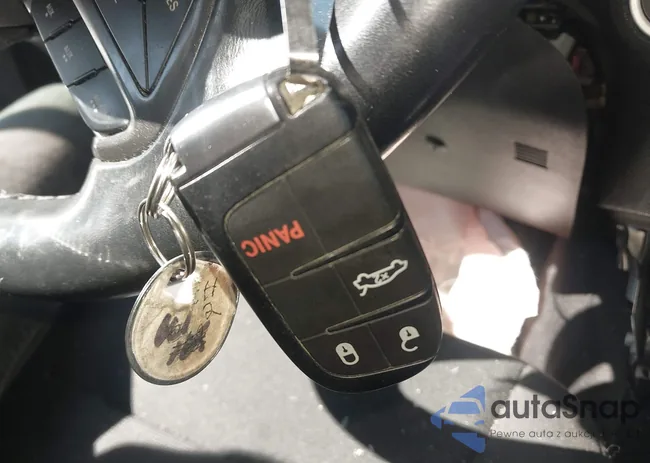 2C3CDXAT7JH144133: 43520659