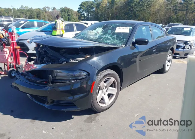 2C3CDXAT7JH144133: 43520659