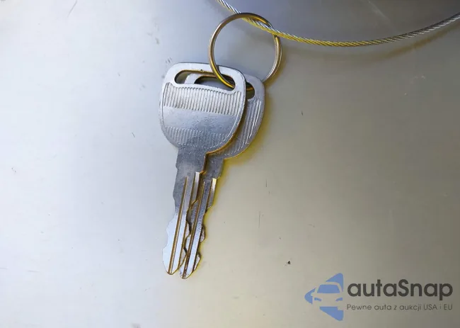 1GNDS13S642385872: 43520722