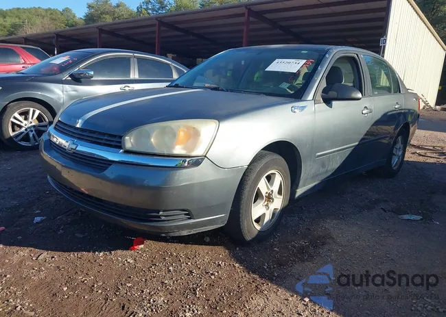 1G1ZT54885F230491: 43520734