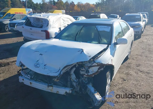 JTHBA30G455100891: 43520949