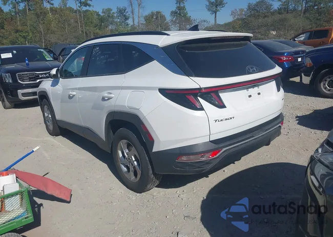 5NMJBCAEXPH208763: 43520298