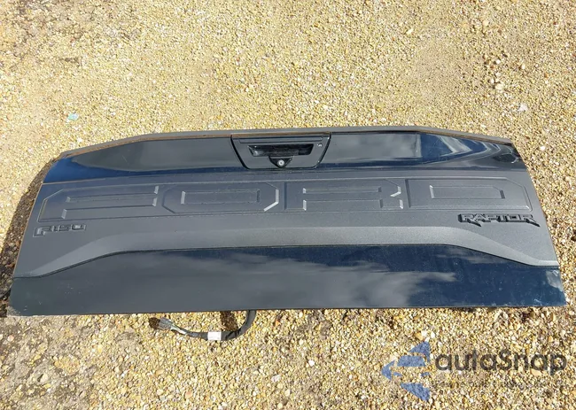 1FTFW1RGXJFD93261: 43520342