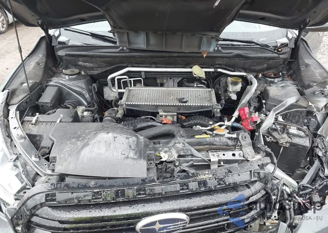 4S4WMARD8L3419416: 43521878