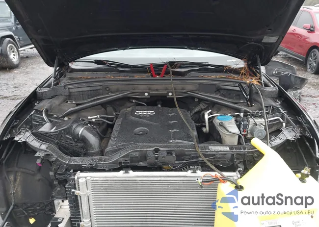 WA1CFAFPXDA093674: 43521887