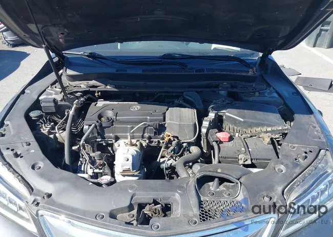 19UUB1F56HA005182: 43521073