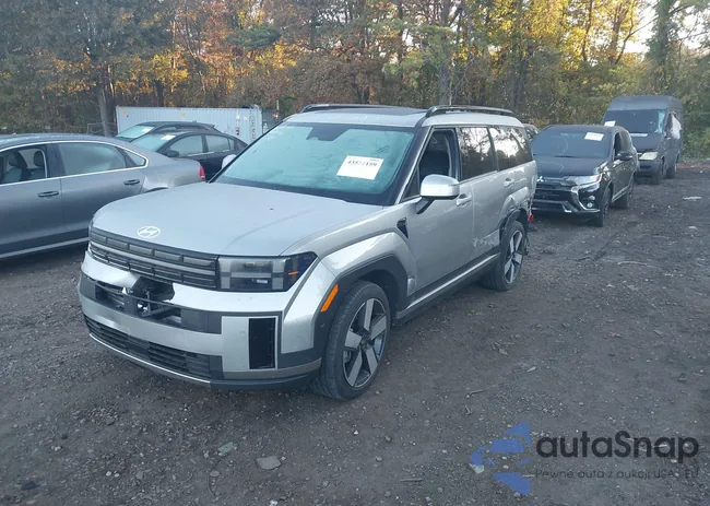 5NMP44GL6RH001158: 43521159