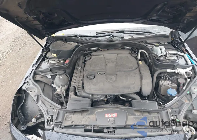 WDDHF8JB3FB096578: 43521193