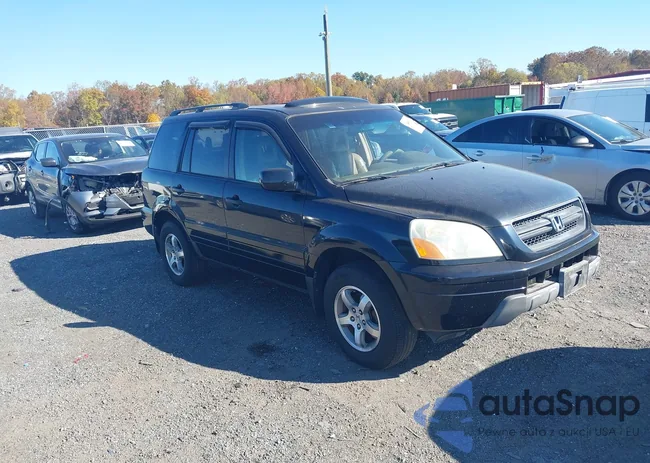 5FNYF186X5B003755: 43521328