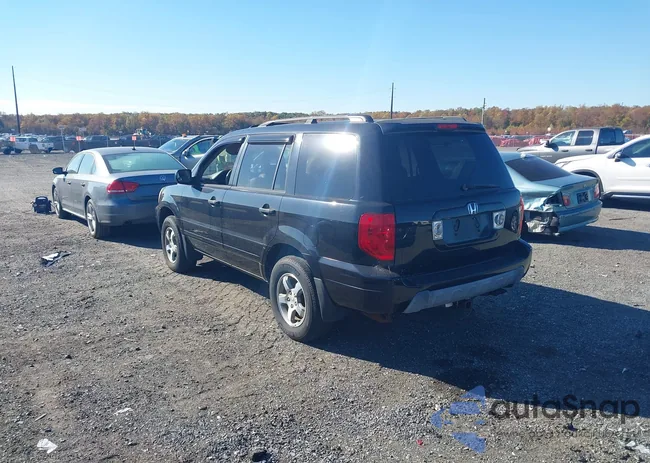 5FNYF186X5B003755: 43521328