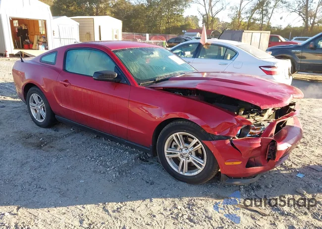 1ZVBP8AMXC5200294: 43522133