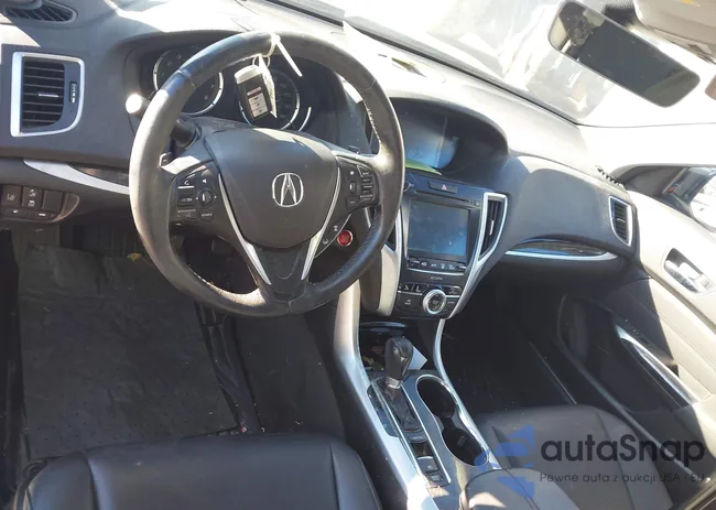 19UUB1F33KA009535: 43522286