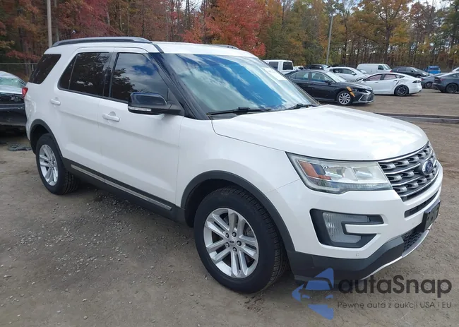 1FM5K7DH4GGD22937: 43522310