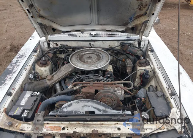 0000000X32D628443: 43523519