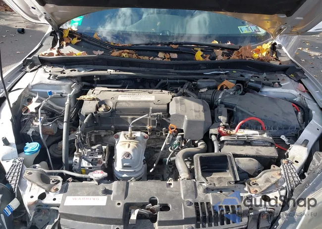 1HGCR2F84DA044211: 43523561