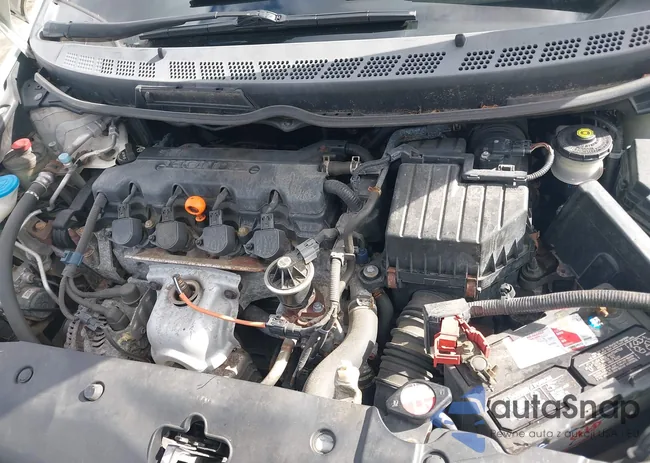 2HGFA1F62AH551411: 43524341