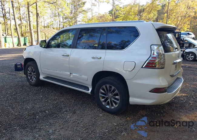 JTJJM7FX4F5091546: 43525128