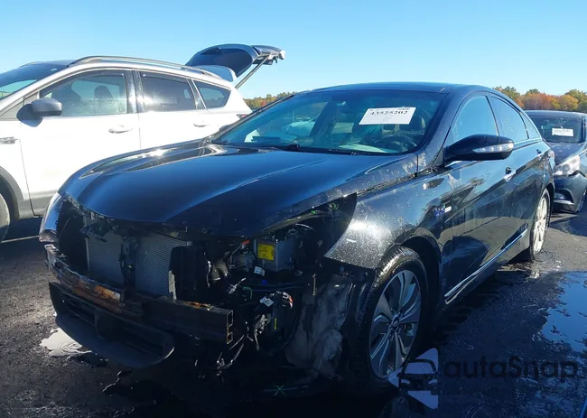 KMHEC4A47FA124593: 43525202