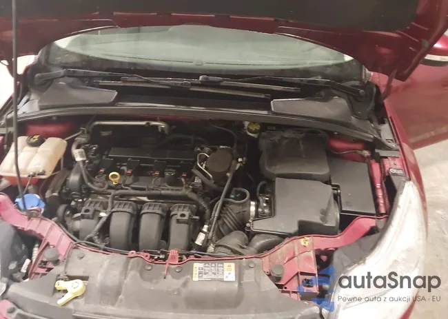 1FADP3F21EL397916: 43526742