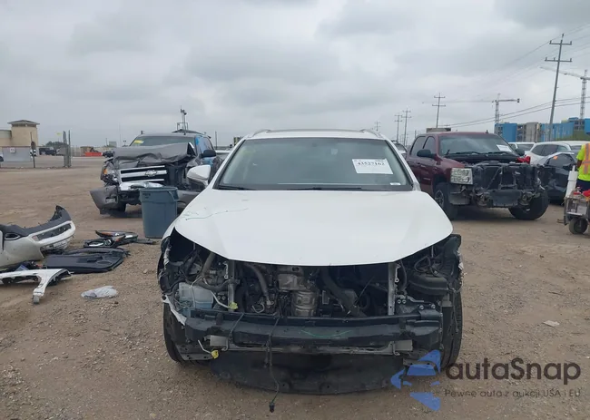 JTJYARBZ3G2049981: 43527162