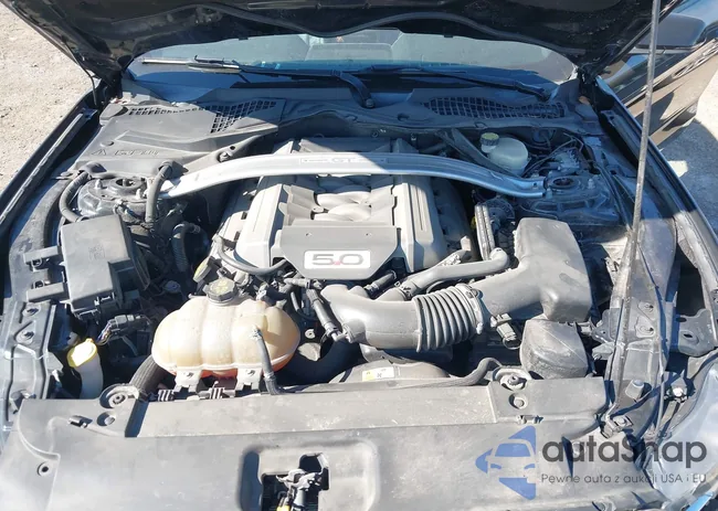 1FATP8FF1F5391017: 43528484