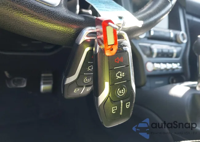 1FATP8FF1F5391017: 43528484