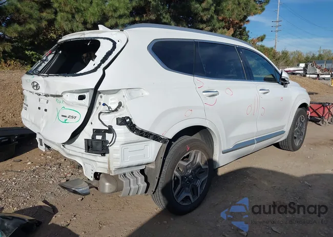 5NMS5DAL9MH346175: 43528585