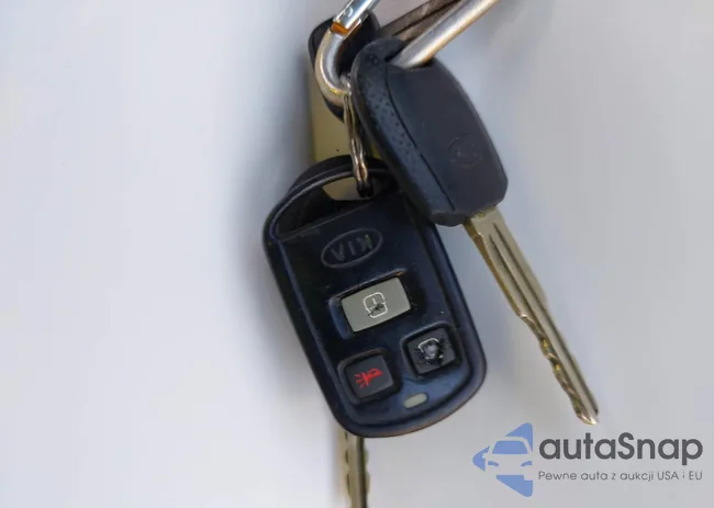 KNDUP131336372523: 43528599