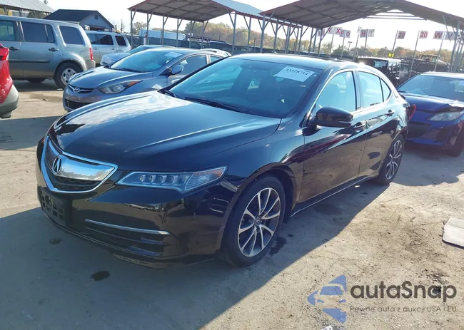 19UUB3F5XFA010104: 43528714