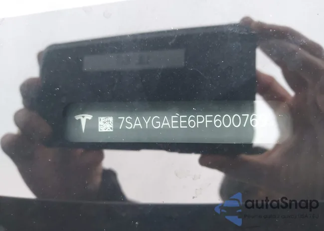 7SAYGAEE6PF600769: 43528069