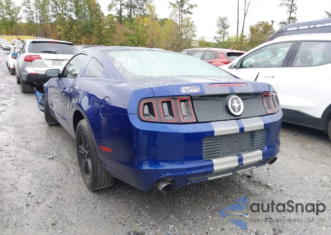 1ZVBP8AM0E5280580: 43528337